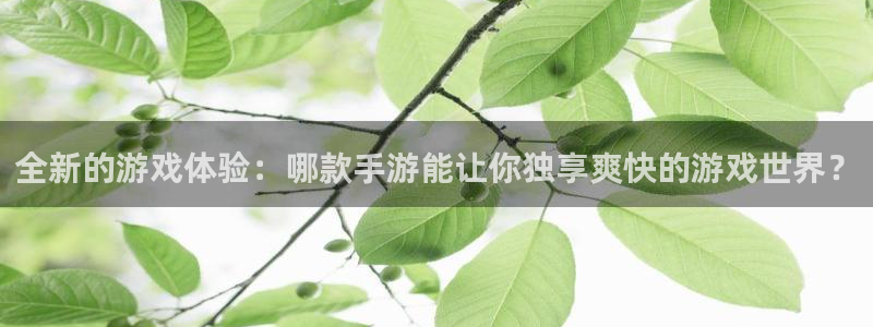 28大神加拿大：全新的游戏体验：哪款手游能让你独享爽快的游戏