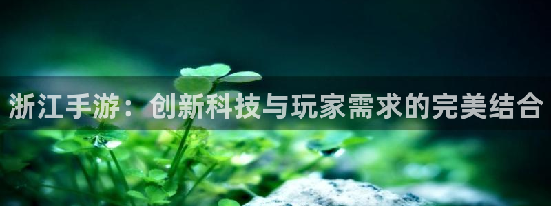 大神28手机版：浙江手游：创新科技与玩家需求的完美结合