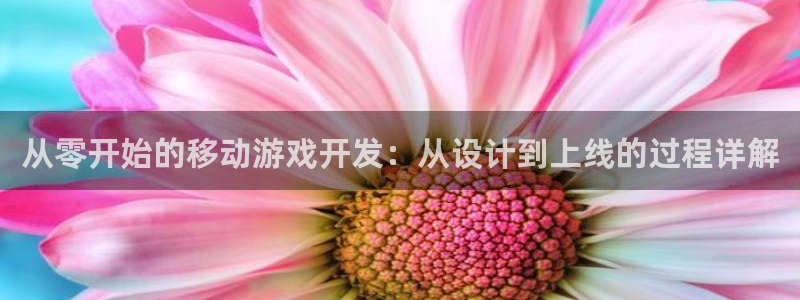 28大神预测破解版
