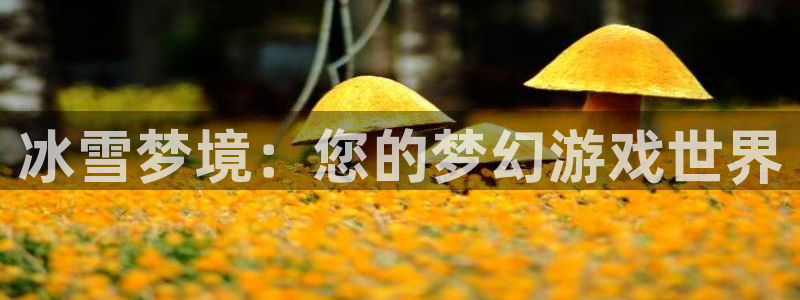 加拿大大神28预测网