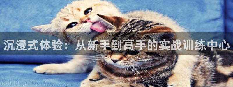 pc28开奖网站大神：沉浸式体验：从新手到高手的实战训练中心