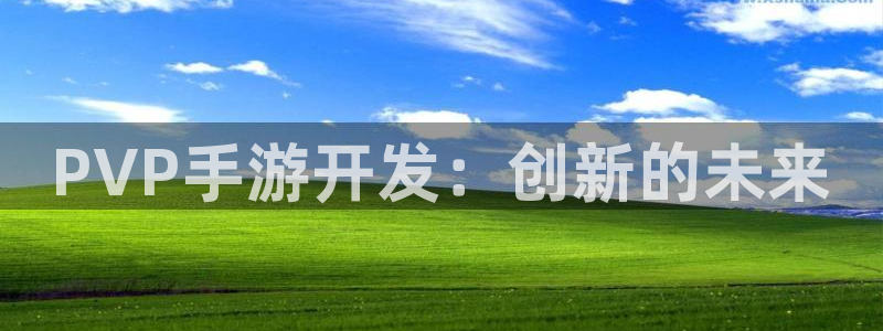 28大神新版：PVP手游开发：创新的未来
