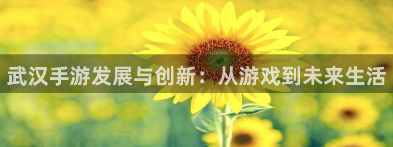 大神28：武汉手游发展与创新：从游戏到未来生活