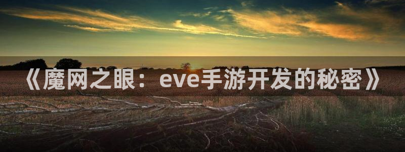 28大神在线预测：《魔网之眼：eve手游开发的秘密》