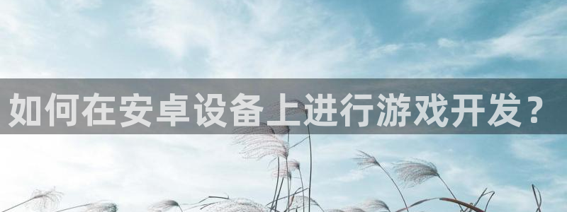 大神28杀：如何在安卓设备上进行游戏开发？