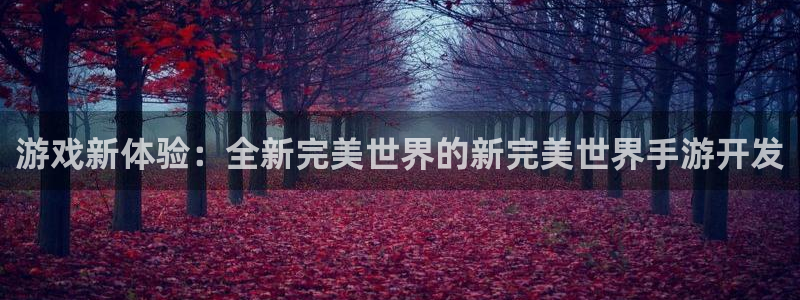 大神28开奖官网查询：游戏新体验：全新完美世界的新完美世界手