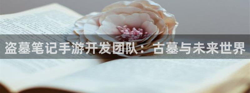 28大神结果查询：盗墓笔记手游开发团队：古墓与未来世界