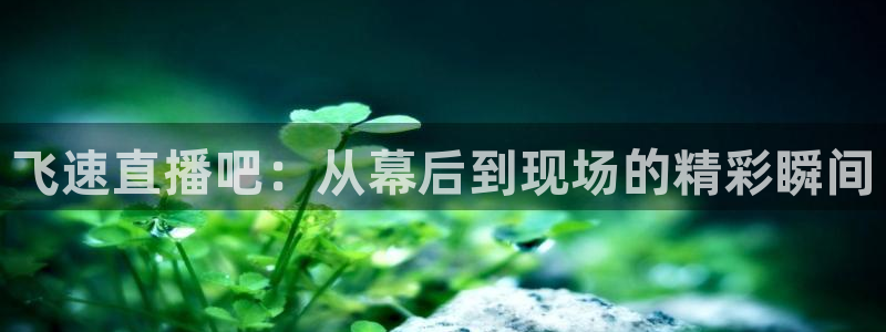 球帝带833赛事直播