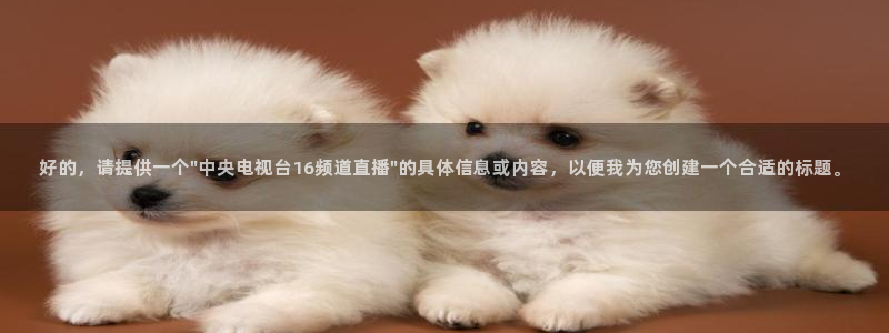 833体育在线直播在线看免费版：好的，请提供一个\