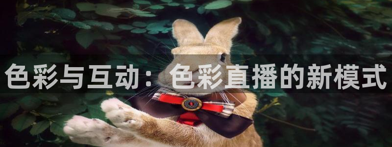 833赛事直播：色彩与互动：色彩直播的新模式