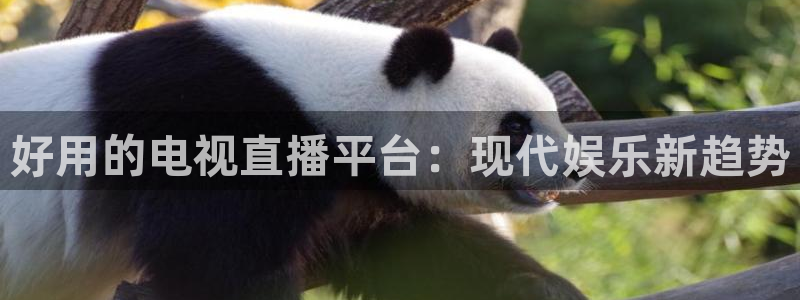 833足球直播网：好用的电视直播平台：现代娱乐新趋势