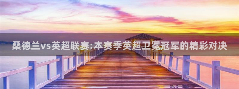 833直播体育免费观看入口：桑德兰vs英超联赛:本赛季英超卫冕冠军的精彩对决