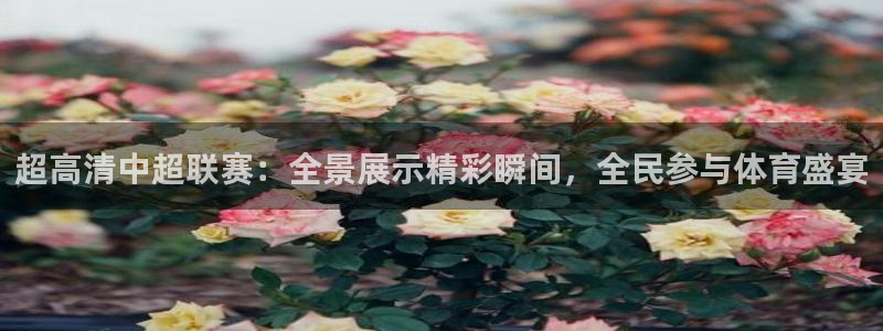833足球直播：超高清中超联赛：全景展示精彩瞬间，全民参与体育盛宴
