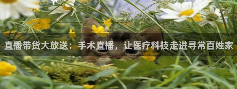 833直播nba免费观看高清直播：直播带货大放送：手术直播，让医疗科技走进寻常百姓家