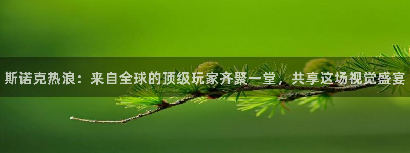 833直播免费体育直播：斯诺克热浪：来自全球的顶级玩家齐聚一堂，共享这场视觉盛宴