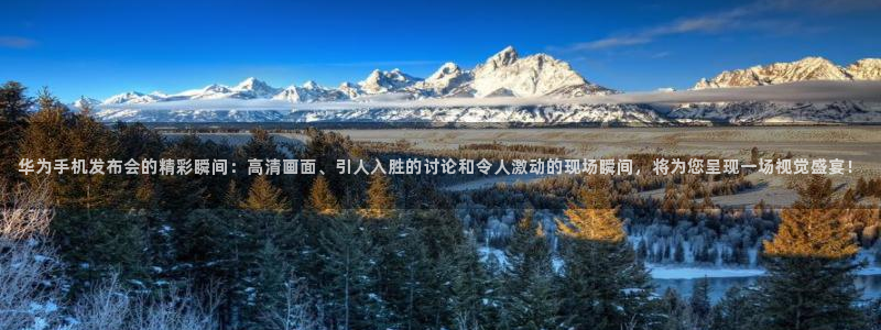 833比赛直播观看：华为手机发布会的精彩瞬间：高清画面、引人入胜的讨论和令人激动的现场瞬间，将为您呈现一场视觉盛宴！
