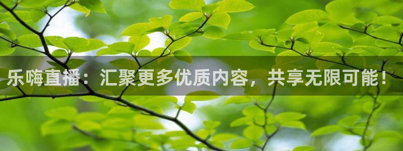 833直播体育：乐嗨直播：汇聚更多优质内容，共享无限可能！
