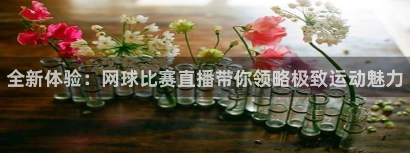 833篮球直播在线直播观看免费：全新体验：网球比赛直播带你领略极致运动魅力