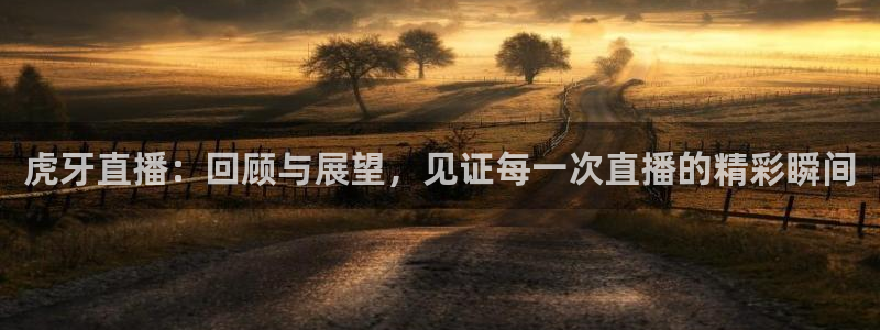 833足球赛事直播：虎牙直播：回顾与展望，见证每一次直播的精彩瞬间