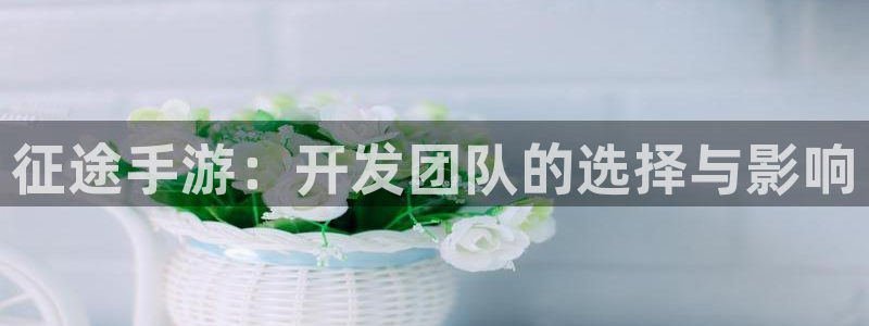 大神28官网下载：征途手游：开发团队的选择与影响