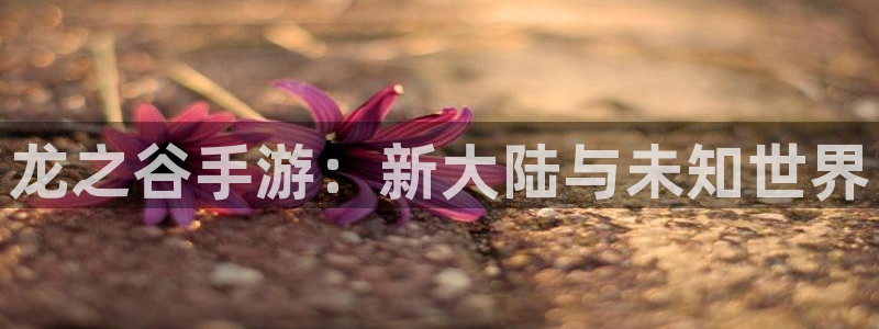 大神pc28开奖结果：龙之谷手游：新大陆与未知世界