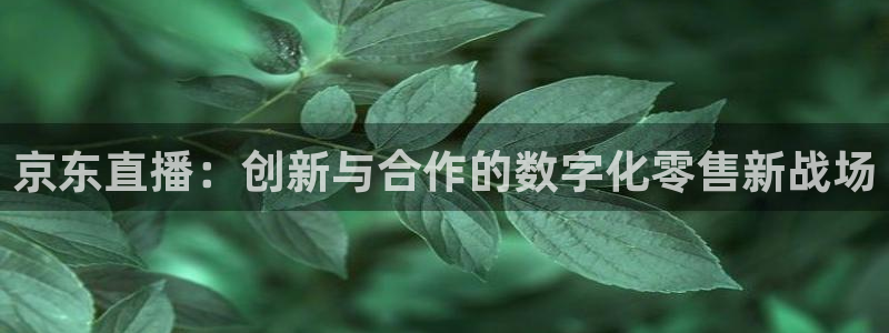 833篮球体育免费直播平台：京东直播：创新与合作的数字化零售新战场