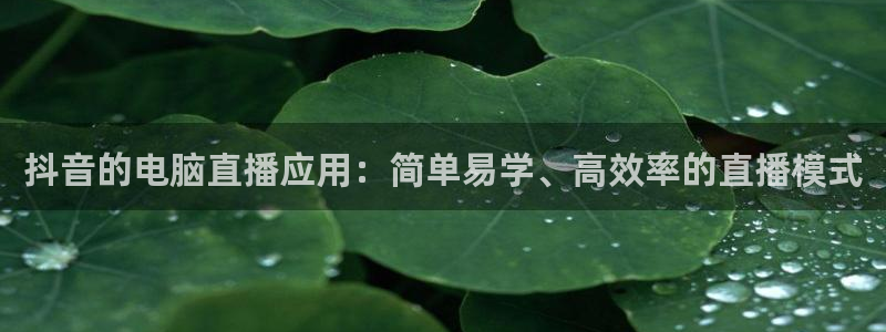 833nba直播免费高清直播：抖音的电脑直播应用：简单易学、高效率的直播模式